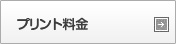 プリント料金